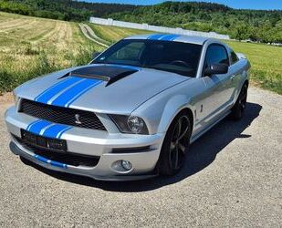 Ford Mustang Gebrauchtwagen