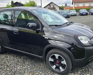 Fiat Panda Gebrauchtwagen