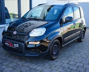 Fiat Panda Gebrauchtwagen