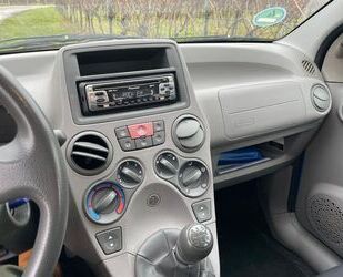 Fiat Panda Gebrauchtwagen
