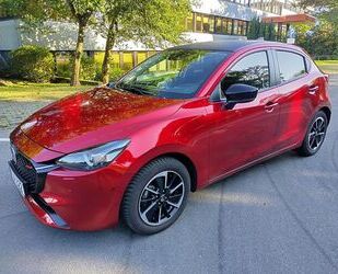 Mazda 2 Gebrauchtwagen