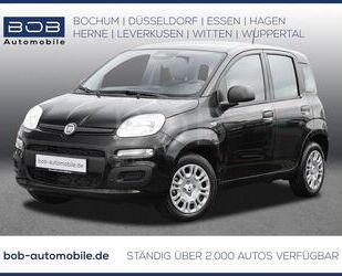 Fiat Panda Gebrauchtwagen