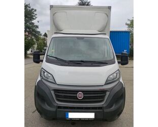 Fiat Ducato Gebrauchtwagen