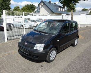 Fiat Panda Gebrauchtwagen