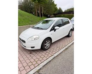 Fiat Punto Gebrauchtwagen