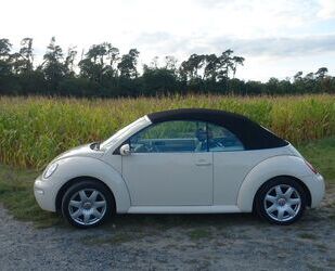 VW Beetle Gebrauchtwagen
