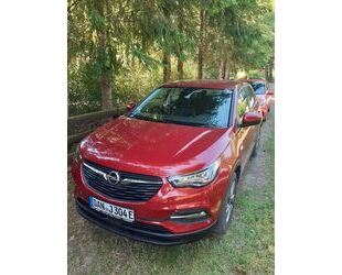 Opel Grandland (X) Gebrauchtwagen