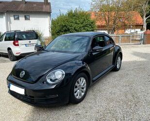 VW Beetle Gebrauchtwagen