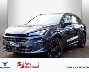 Cupra Terramar Gebrauchtwagen