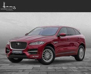 Jaguar F-Pace Gebrauchtwagen