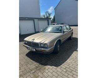 Jaguar XJ6 Gebrauchtwagen