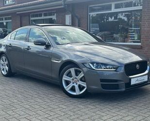 Jaguar XE Gebrauchtwagen