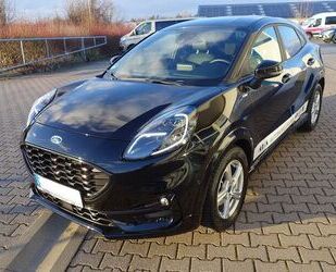 Ford Puma Gebrauchtwagen