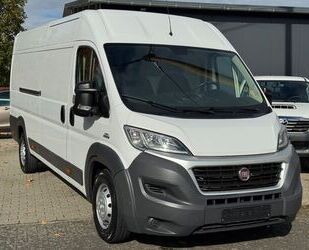 Fiat Ducato Gebrauchtwagen