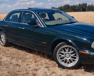 Jaguar XJ Gebrauchtwagen