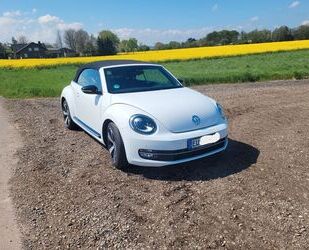 VW Beetle Gebrauchtwagen