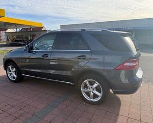 Mercedes-Benz ML 350 Gebrauchtwagen