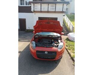 Fiat Punto Gebrauchtwagen
