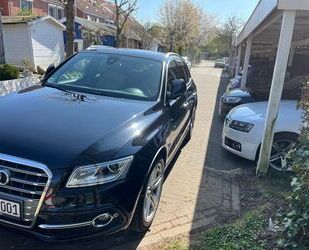 Audi SQ5 Gebrauchtwagen