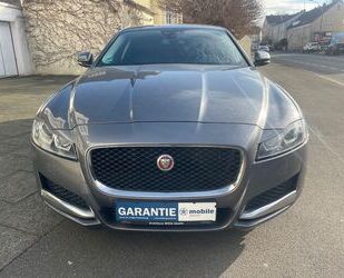 Jaguar XF Gebrauchtwagen