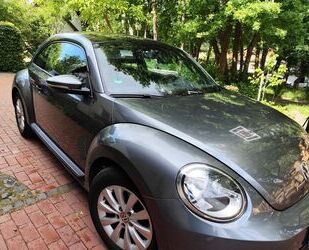 VW Beetle Gebrauchtwagen