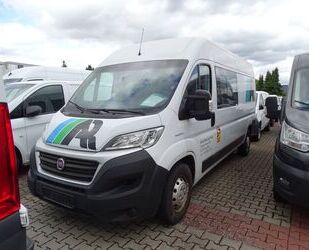 Fiat Ducato Gebrauchtwagen
