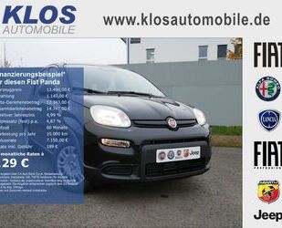 Fiat Panda Gebrauchtwagen