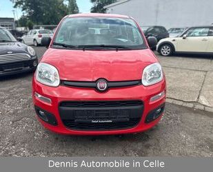 Fiat Panda Gebrauchtwagen