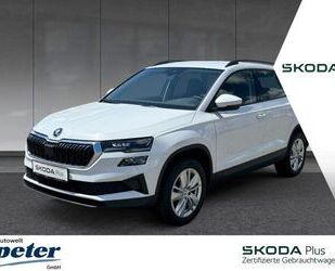 Skoda Karoq Gebrauchtwagen