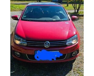 VW Eos Gebrauchtwagen