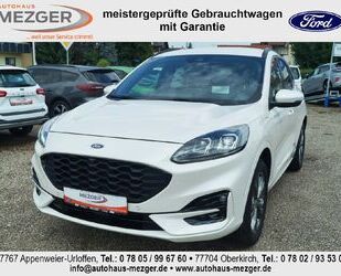 Ford Kuga Gebrauchtwagen