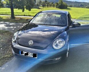 VW Beetle Gebrauchtwagen