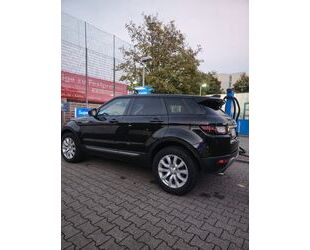 Land Rover Range Rover Evoque Gebrauchtwagen