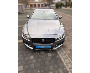 Jaguar XE Gebrauchtwagen