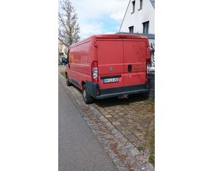 Fiat Ducato Gebrauchtwagen