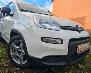 Fiat Panda Gebrauchtwagen