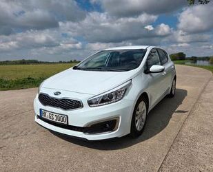 Kia ceed / Ceed Gebrauchtwagen