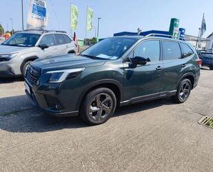 Subaru Forester Gebrauchtwagen