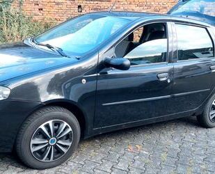 Fiat Punto Gebrauchtwagen