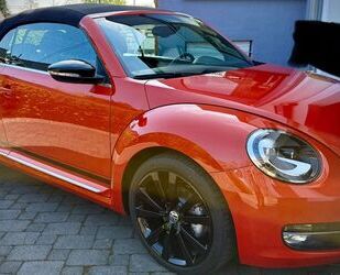 VW Beetle Gebrauchtwagen