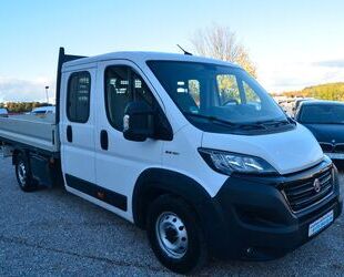 Fiat Ducato Gebrauchtwagen