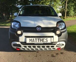 Fiat Panda Gebrauchtwagen