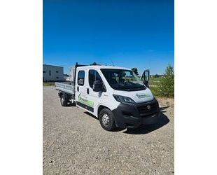 Fiat Ducato Gebrauchtwagen