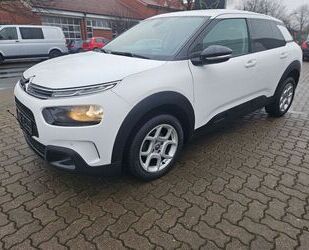 Citroen C4 Cactus Gebrauchtwagen