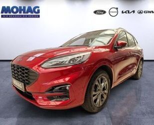 Ford Kuga Gebrauchtwagen