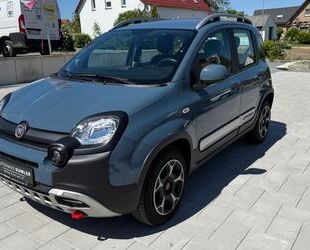 Fiat Panda Gebrauchtwagen