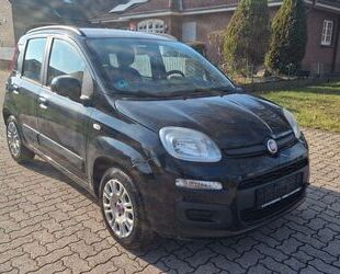 Fiat Panda Gebrauchtwagen