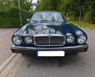 Jaguar XJ6 Gebrauchtwagen