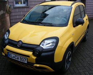 Fiat Panda Gebrauchtwagen