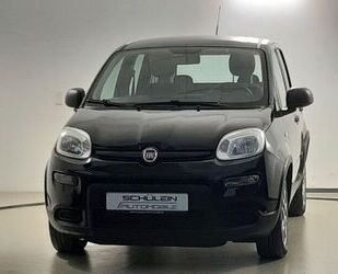 Fiat Panda Gebrauchtwagen